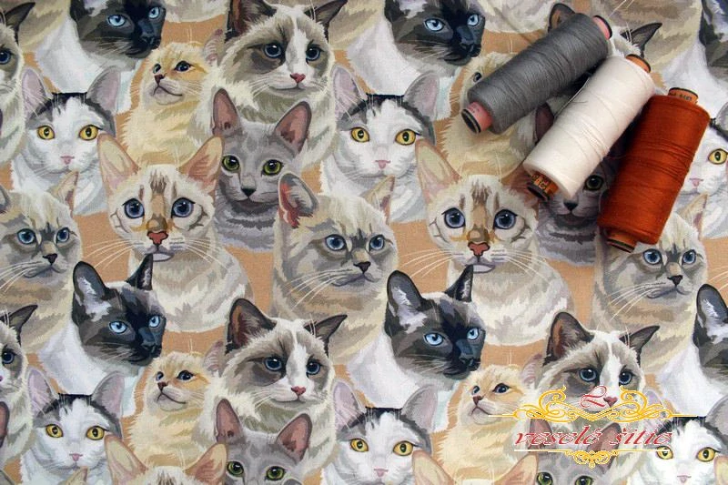 Bavlna Mačky art