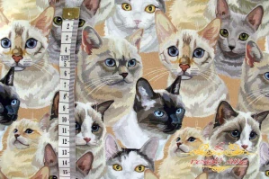 Bavlna Mačky art