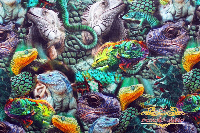 Úplet Jaštery digi len 1,55m