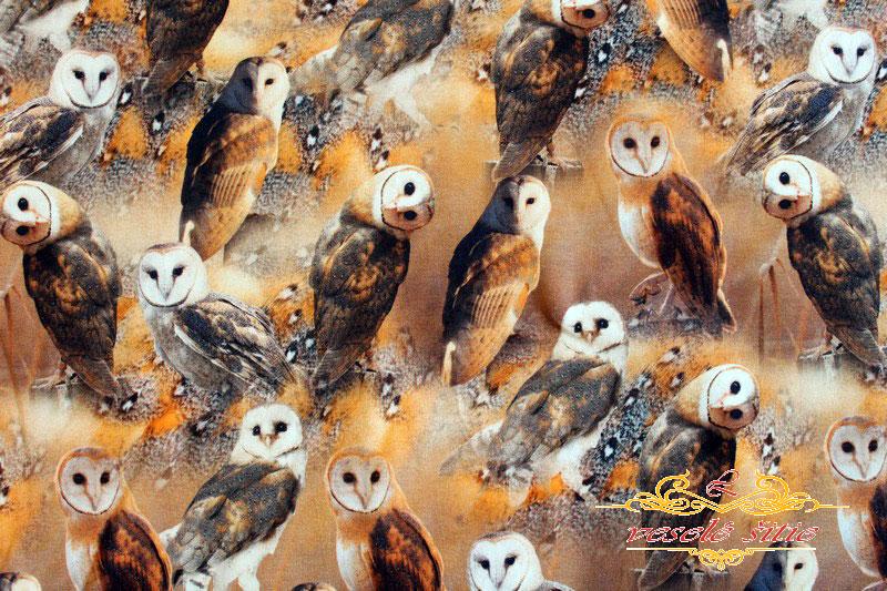 Úplet Sovičky digi