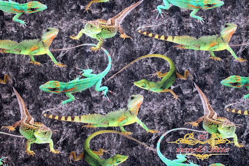 Úplet Jašteričky digi