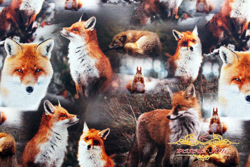 Úplet Líšky a veveričky digi