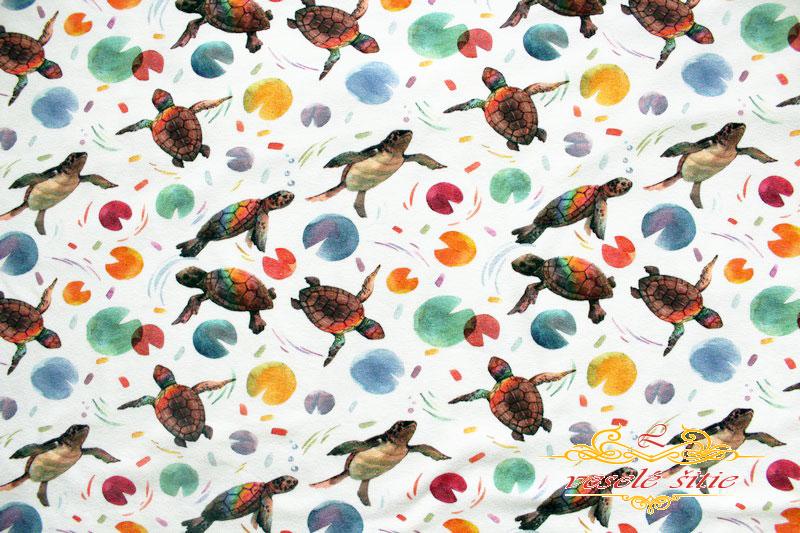 Úplet Korytnačky na bielej