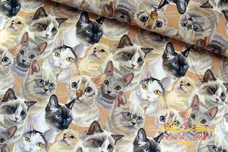 Bavlna Mačky art