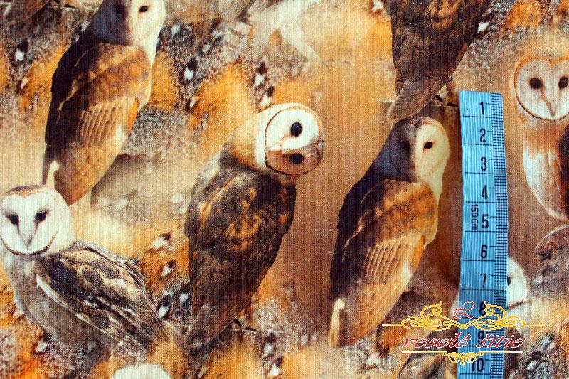 Úplet Sovičky digi