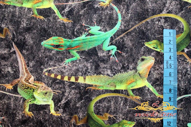 Úplet Jašteričky digi