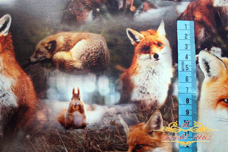 Úplet Líšky a veveričky digi