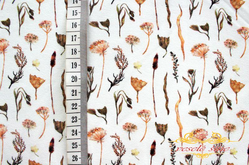 Úplet Suché rastliny